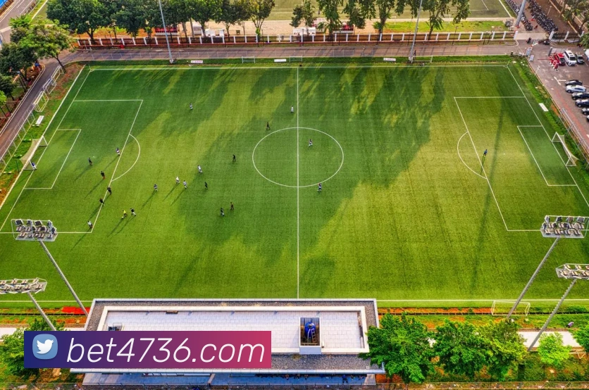 bet365comAPP 封面图